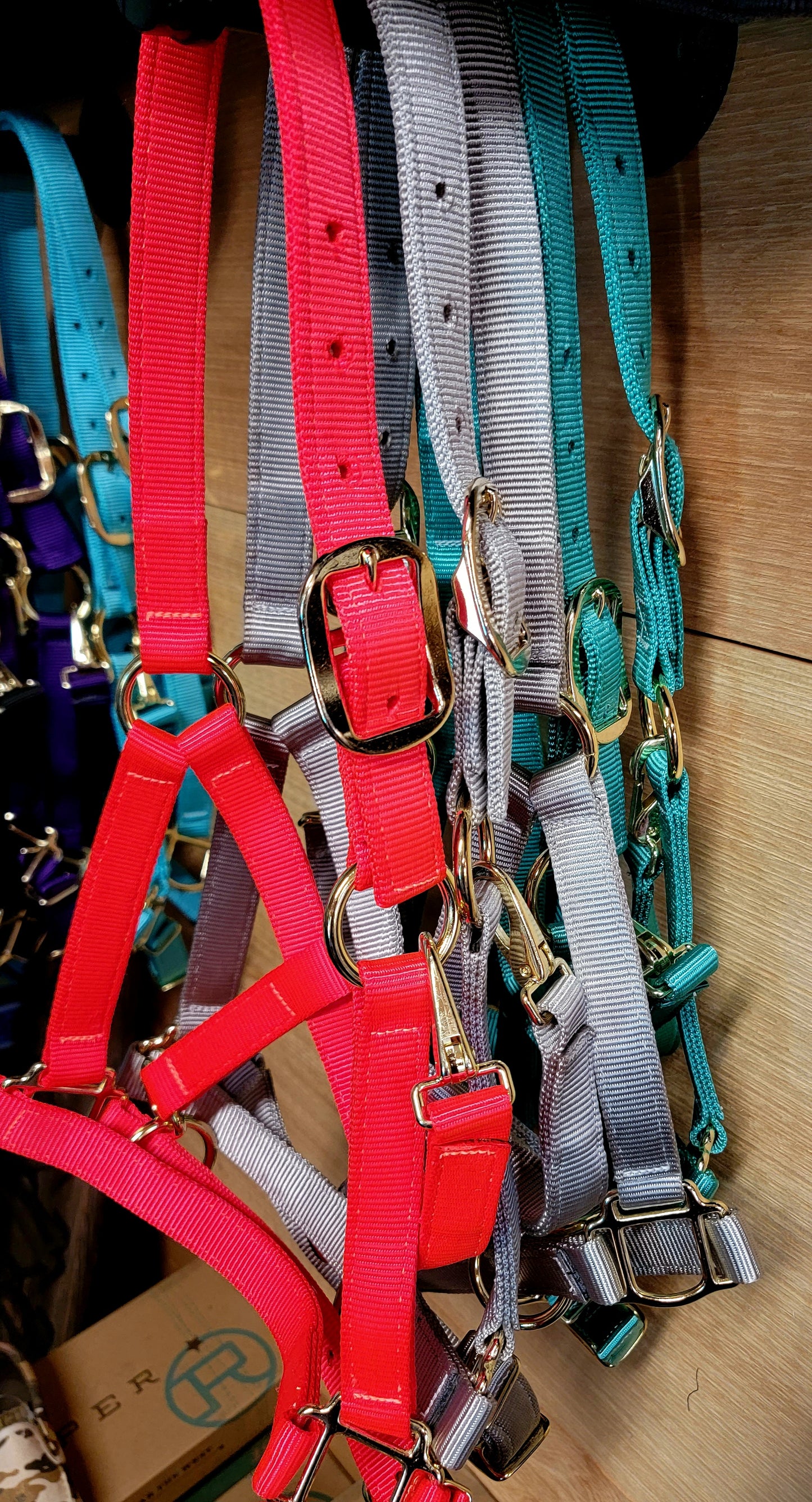 Horse Halters