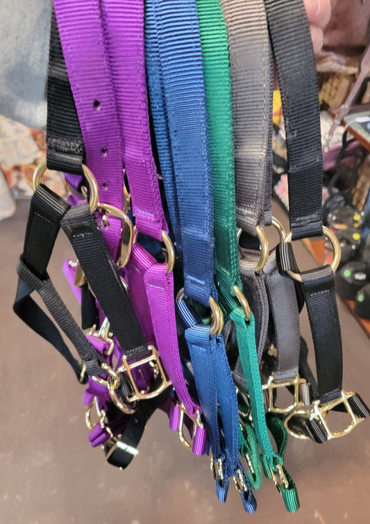 Horse Halters