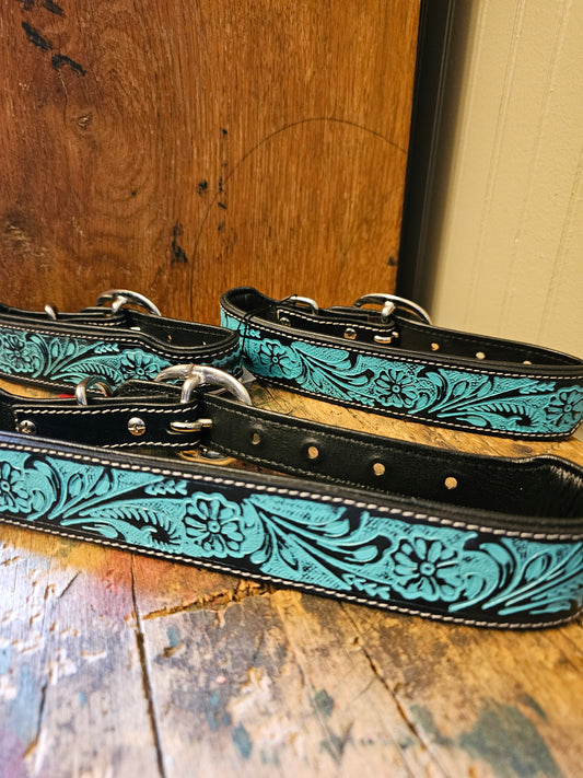Dog Collars