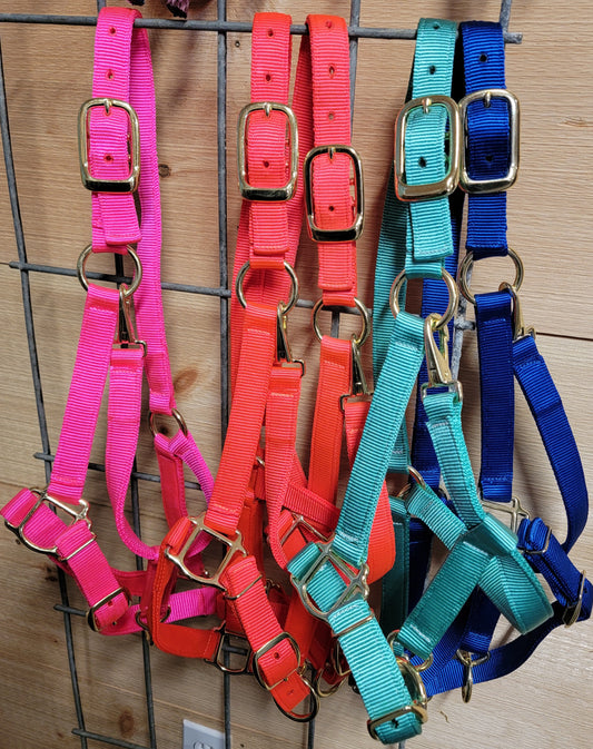 Horse Halters
